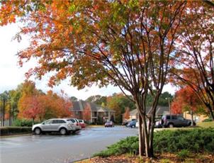 Yorktown Commons